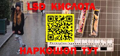 эйфоретик Новокубанск