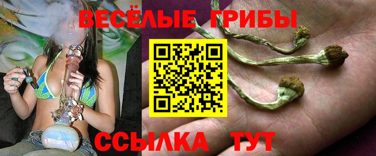 Псилоцибиновые грибы Cubensis Юрга